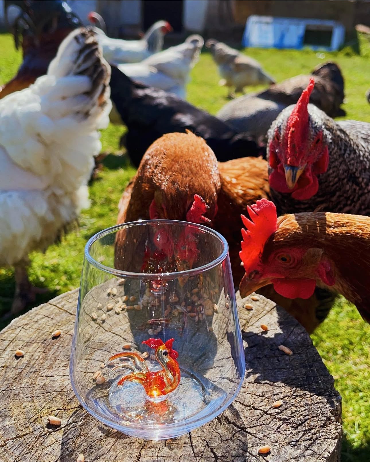 Rooster Glass