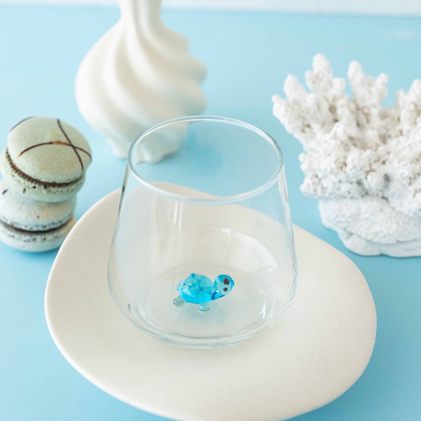 Turtle Glass