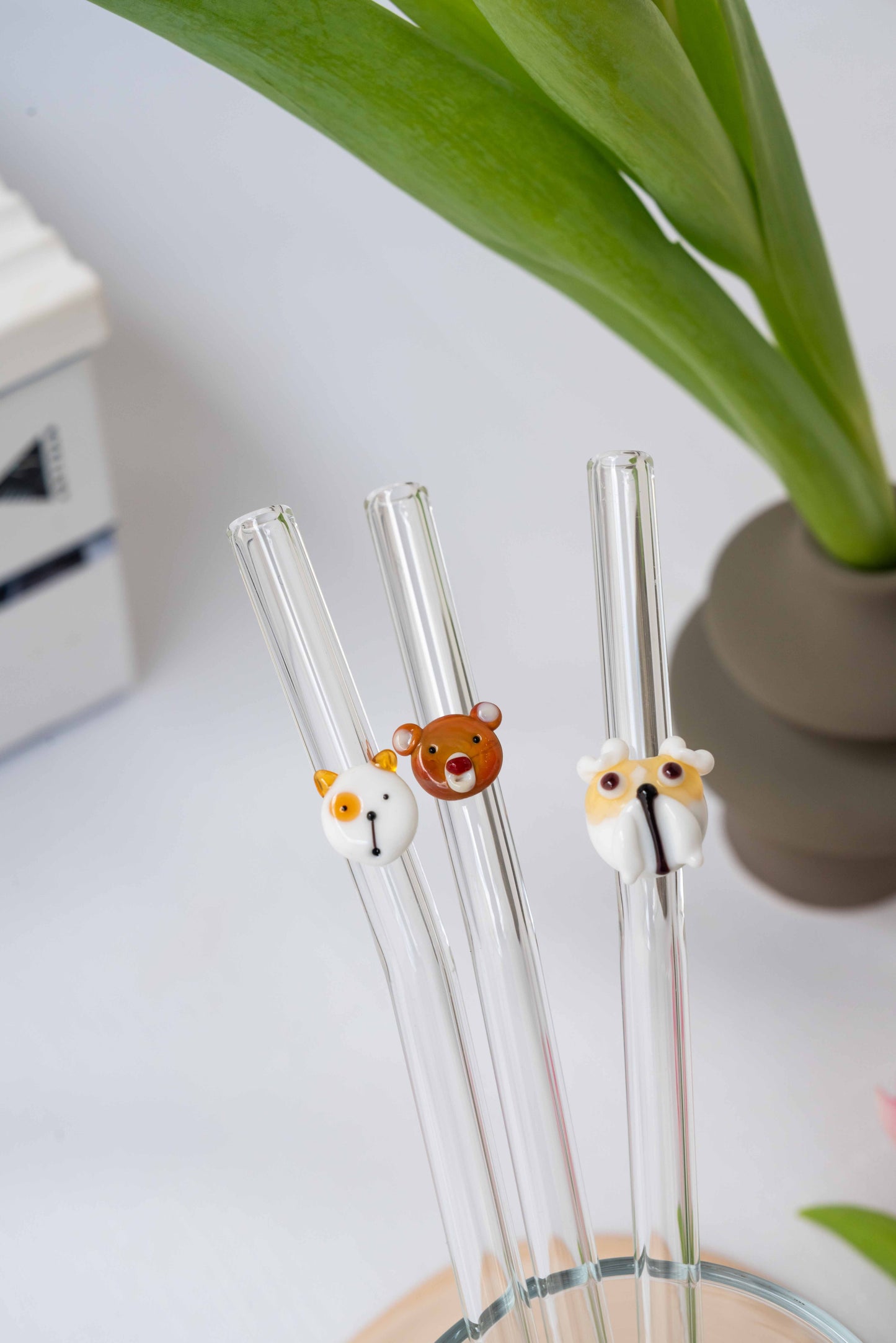 Glass Straws
