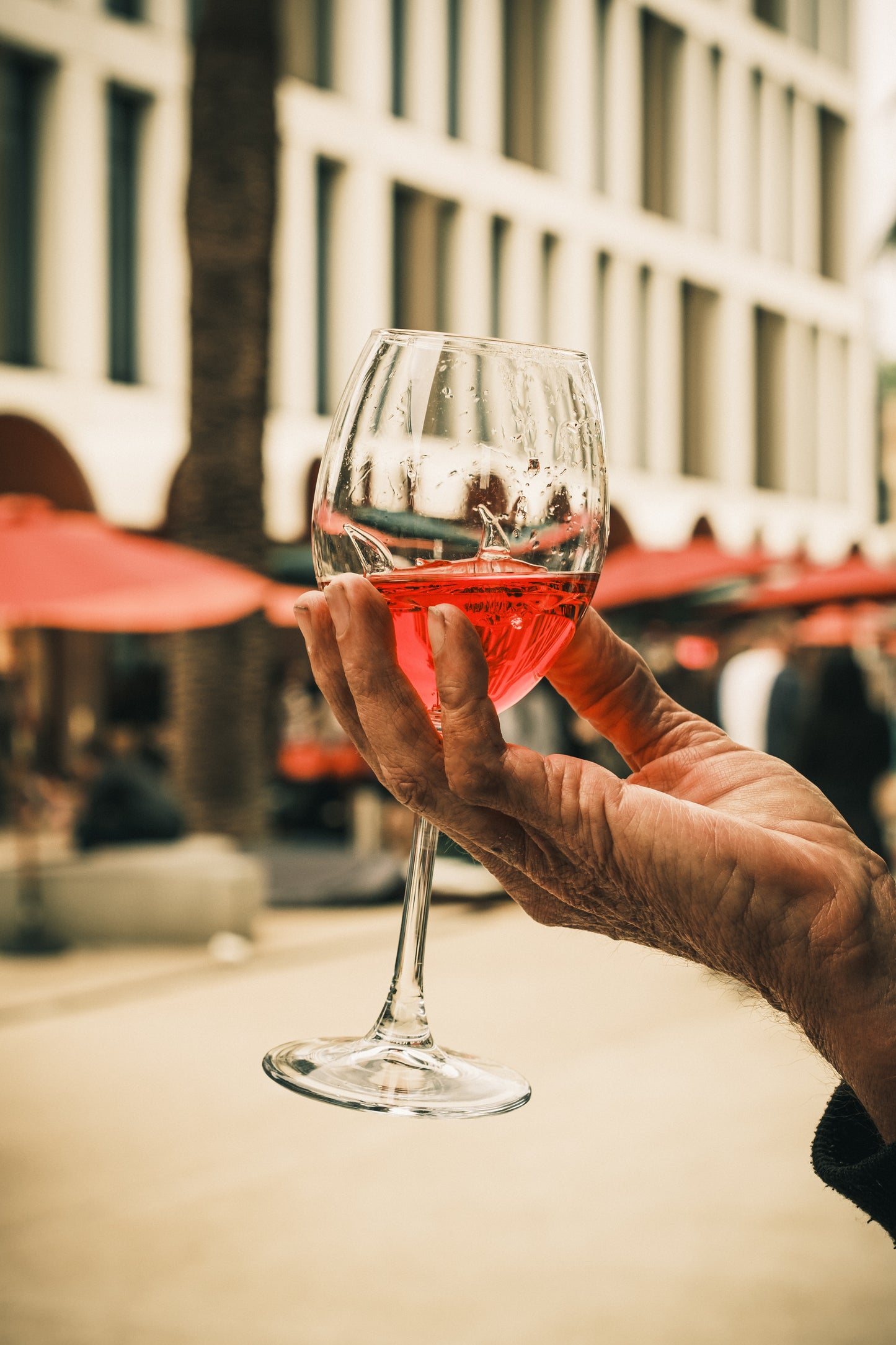 Shark Wine Glass