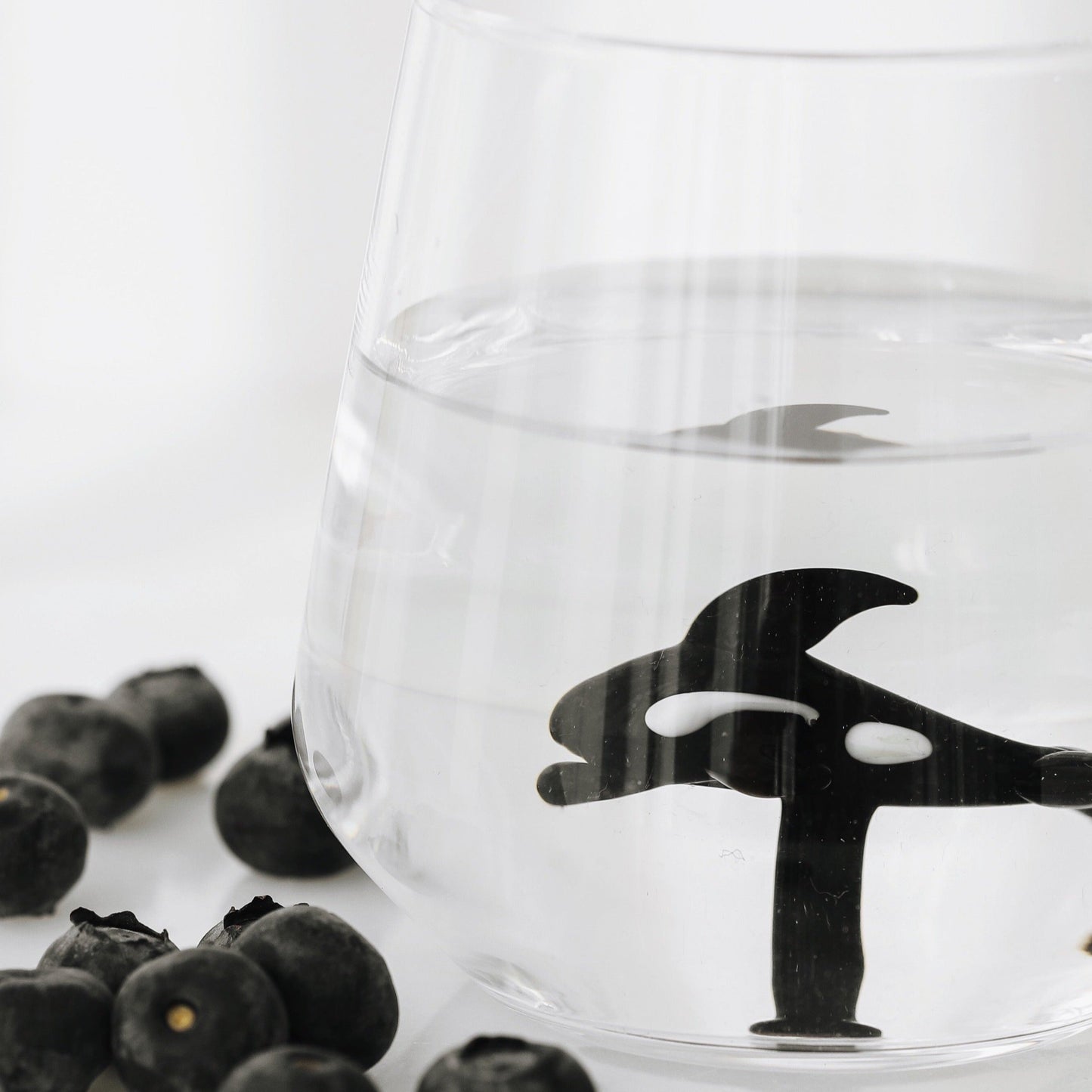 Orca Glass