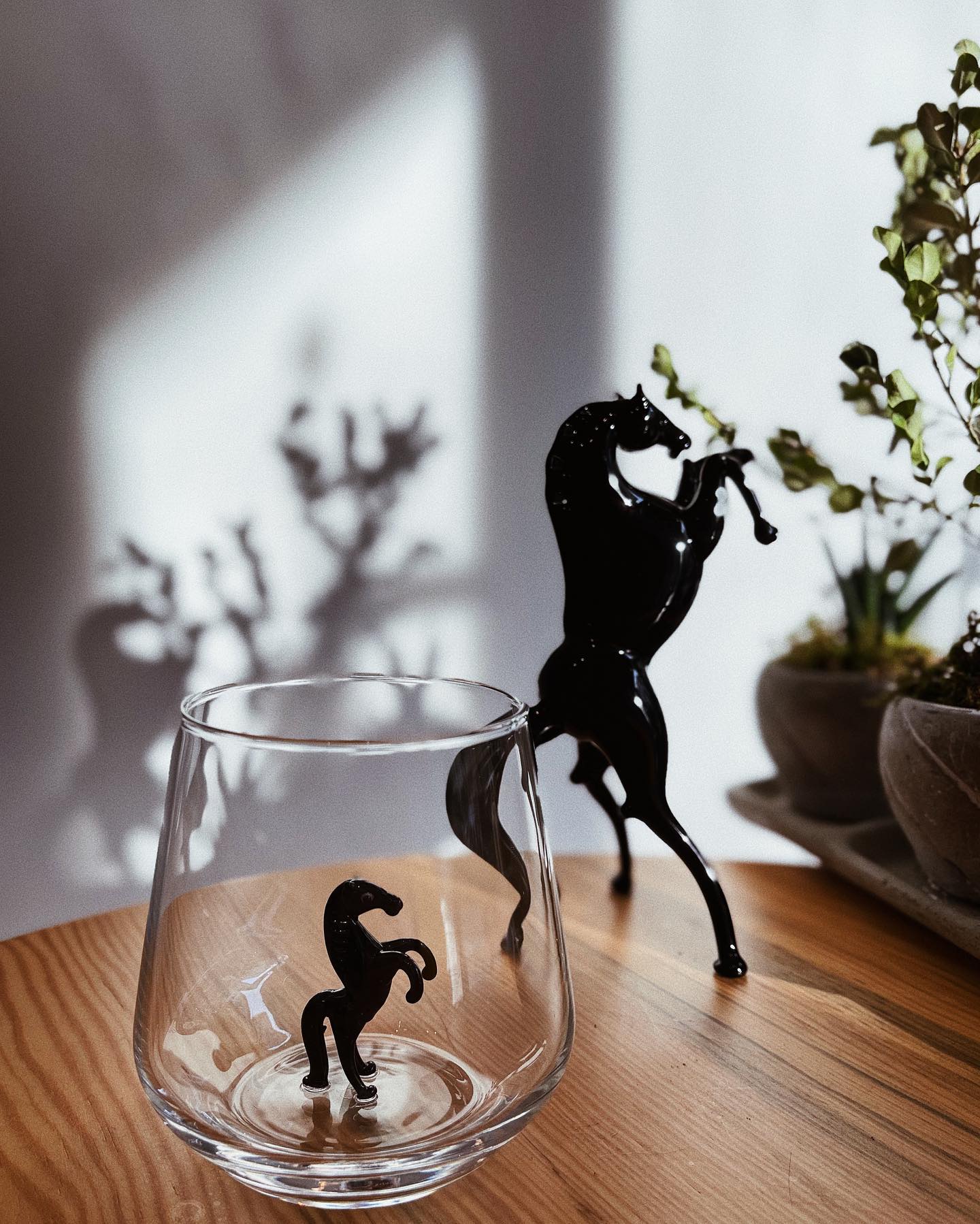 Horse Glass