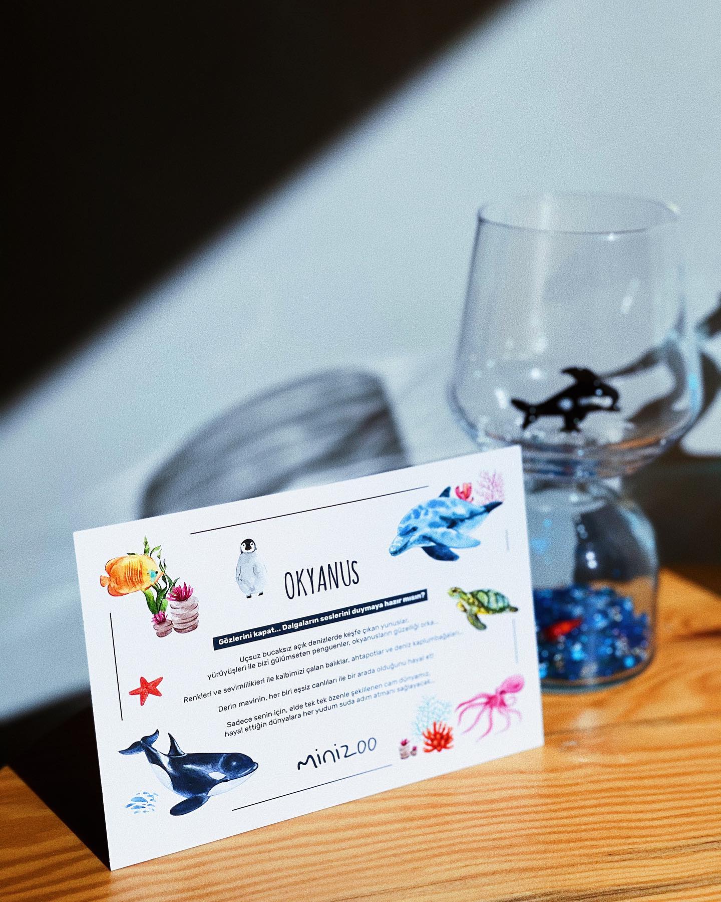 Orca Glass