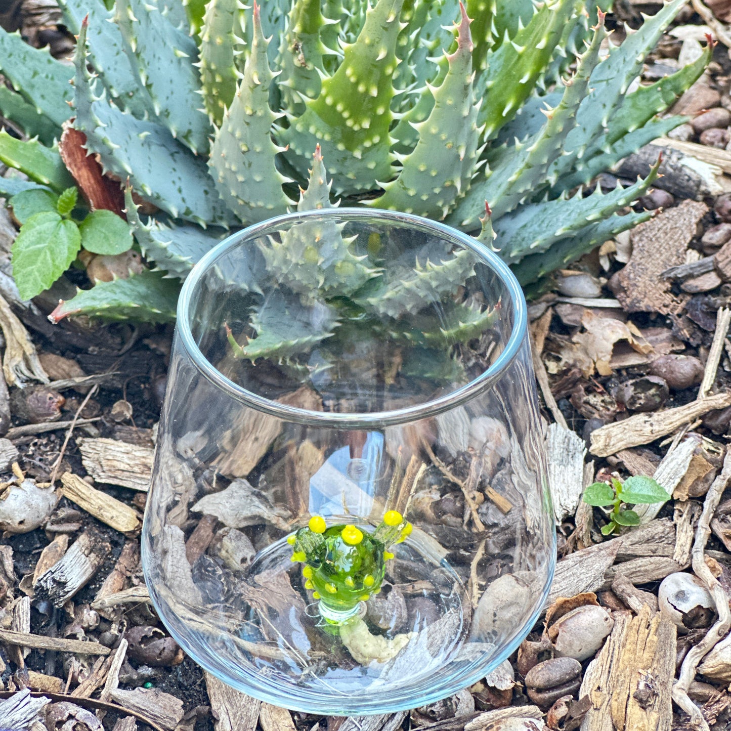 Cactus Glass