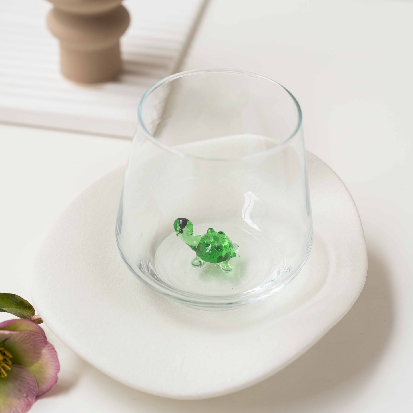 Turtle Glass